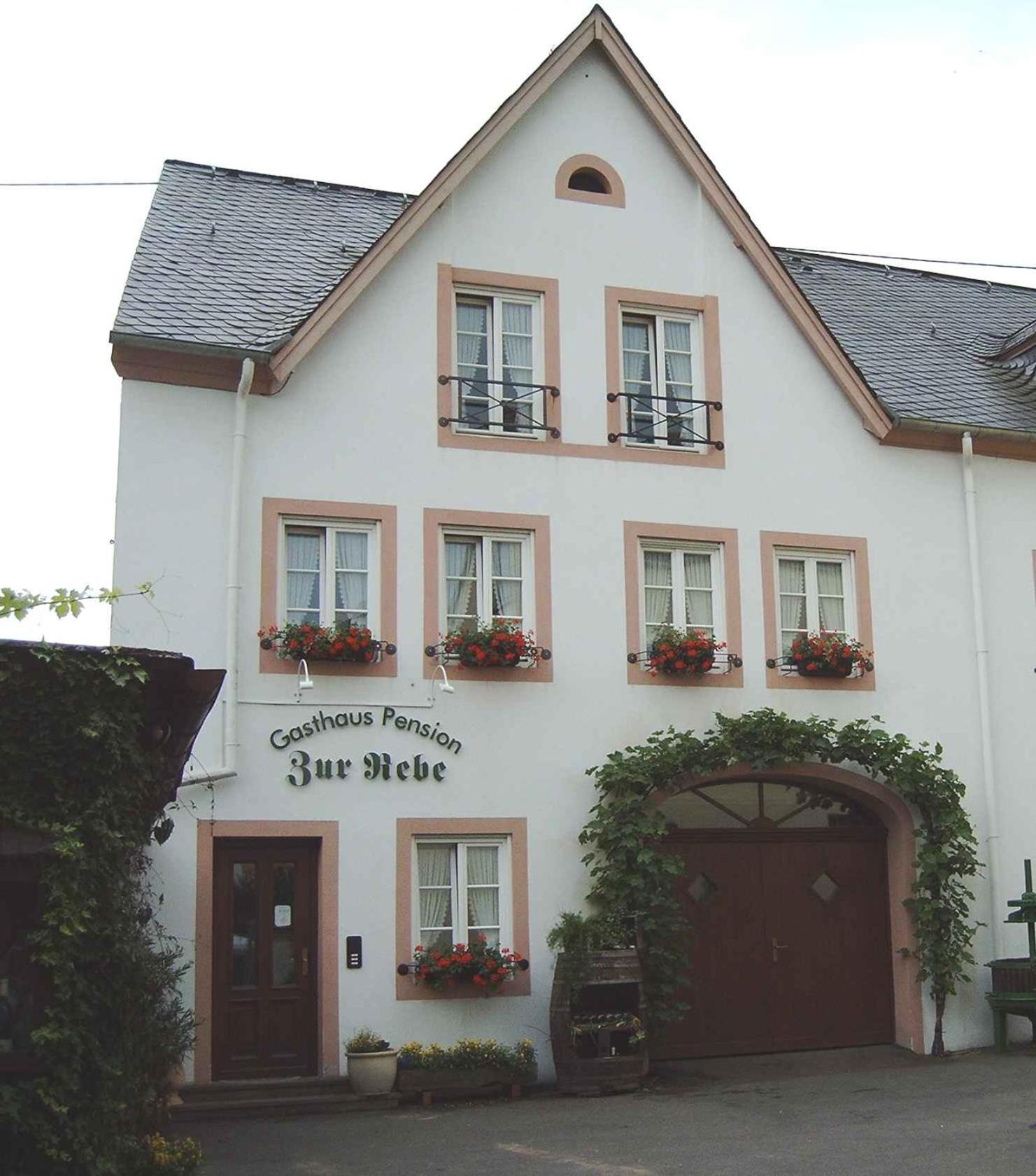 Gasthaus Zur Rebe Mehring  Extérieur photo